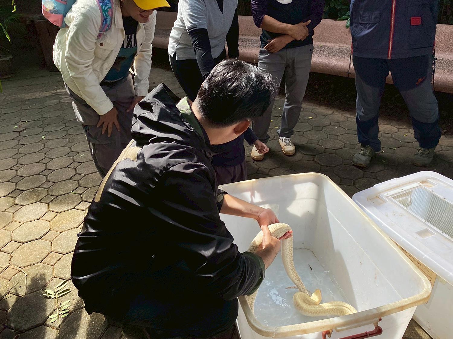 Наш Тай | Зоопарк Корат: как защищают животных от холода в Накхонратсима?