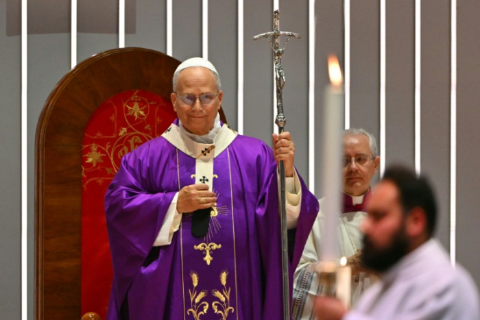Crowd braves rain to flock to Pope Leo's mass in Istanbul