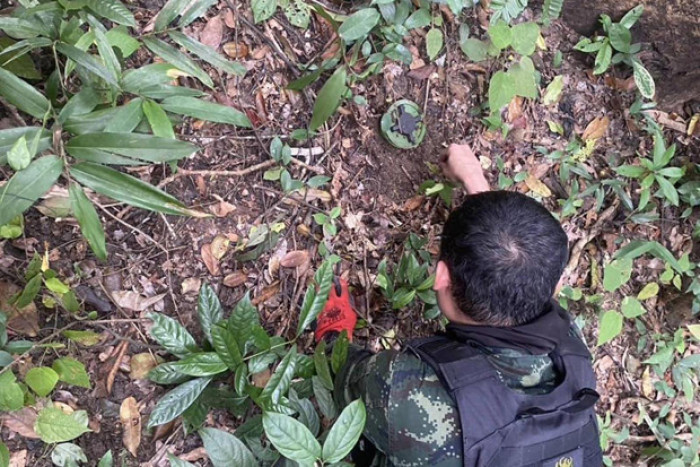 Landmine casualties hit 4-year high as states exit ban treaty