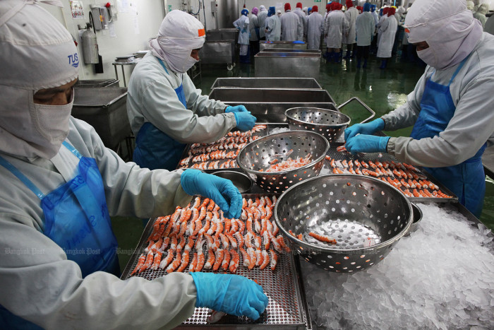 Shrimp exports forecast to claw back next year