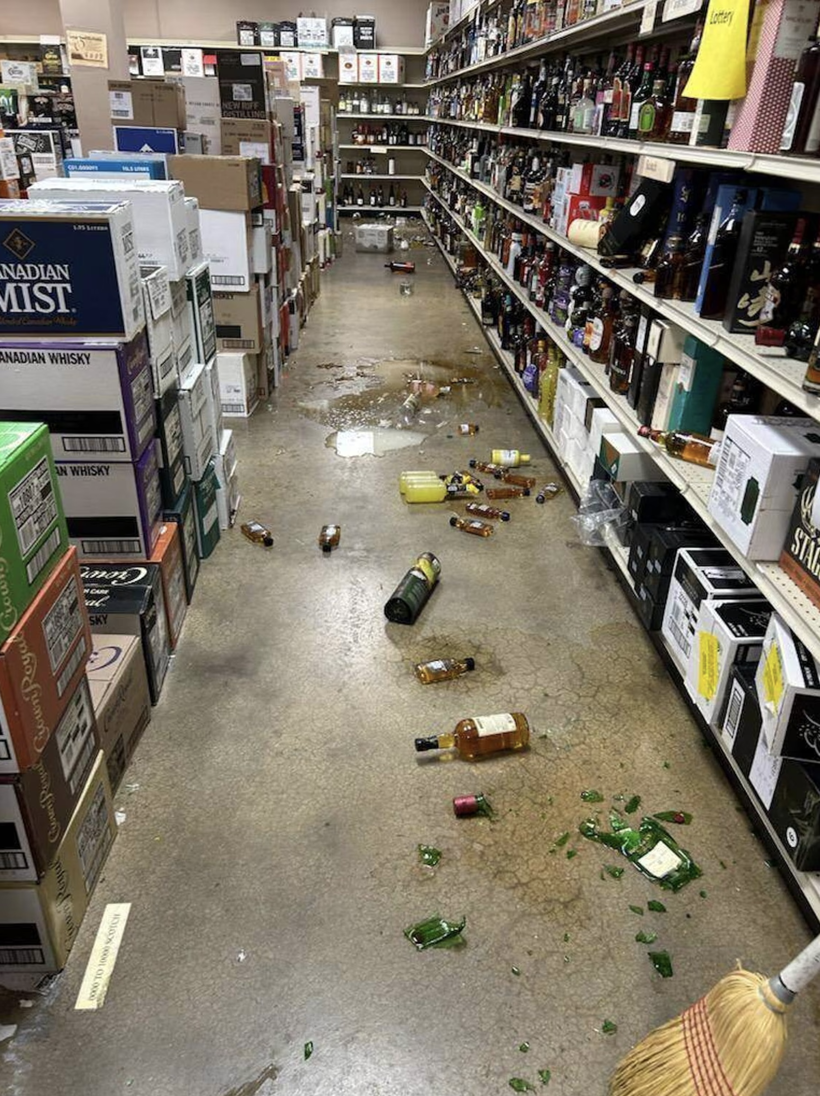 The raccoon's trail of shame. (Photo: Hanover County Animal Protection and Shelter)