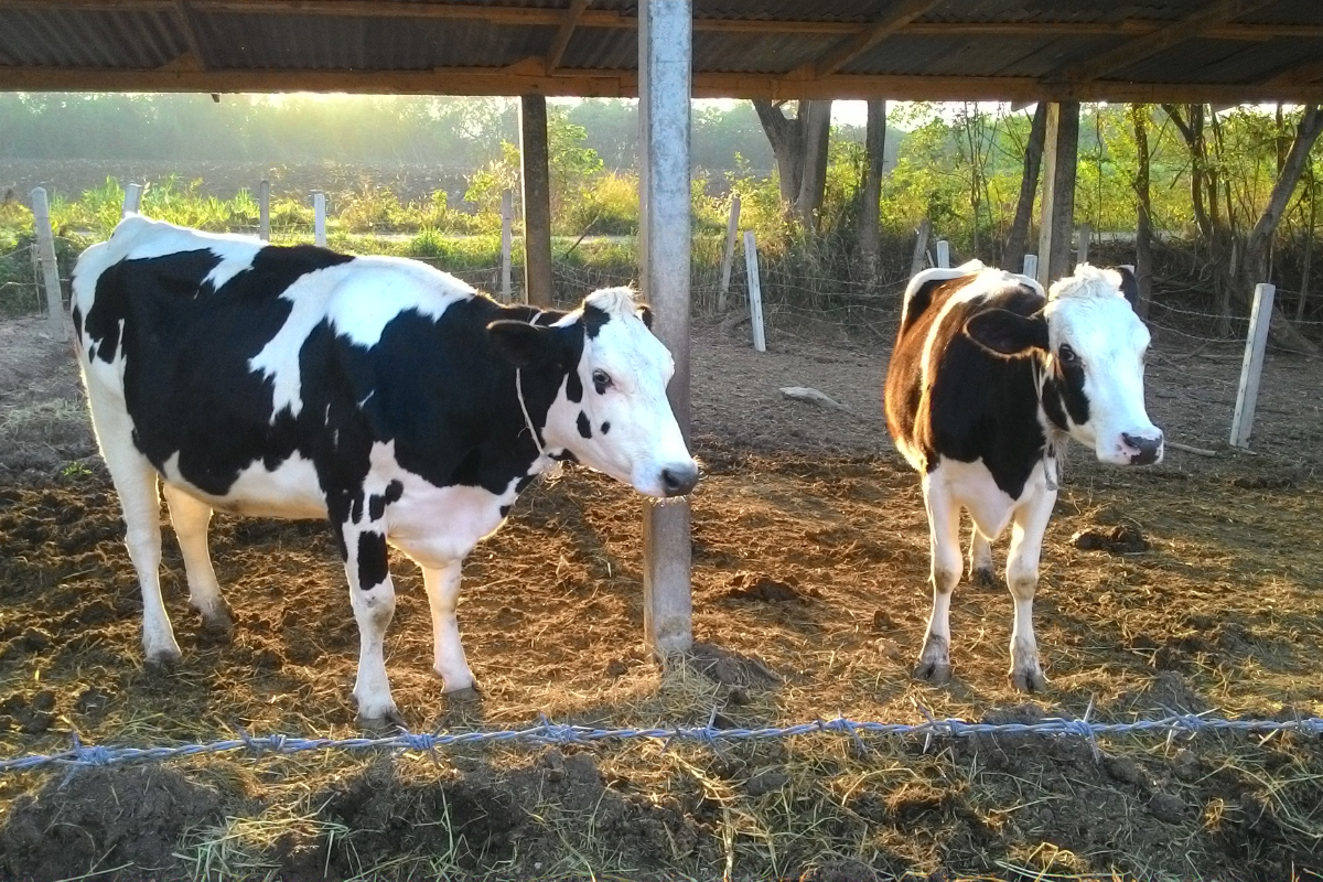 Setting the record straight