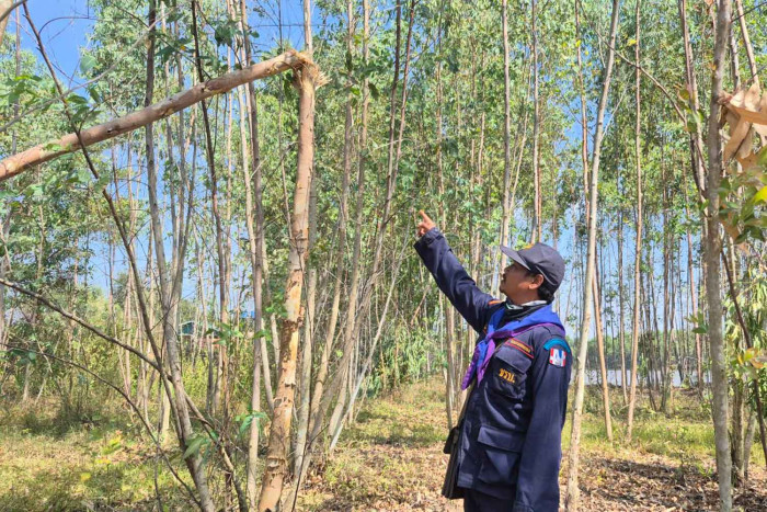 Cambodian rockets strike village area