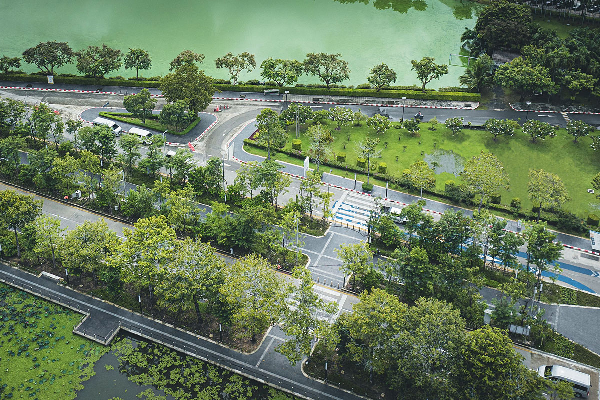 The greening of power