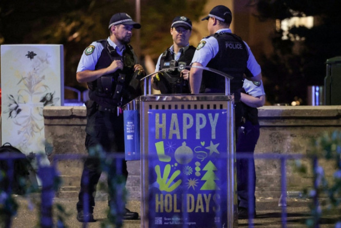 What we know about Australia's Bondi Beach attack