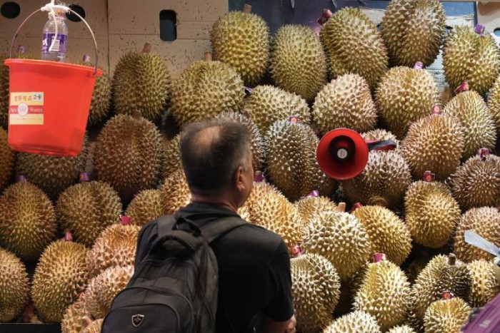 Laos cleared to export fresh durians to China as Malaysia, Thailand face new rival