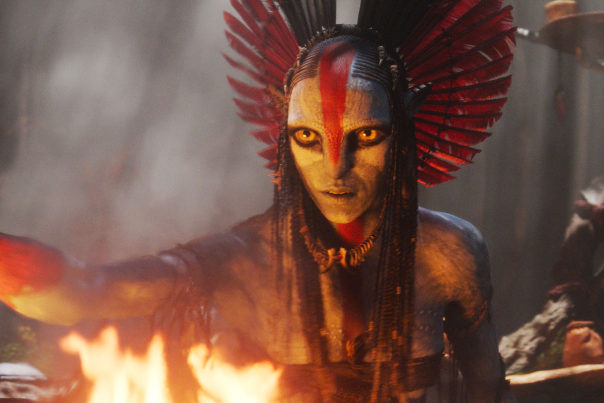 Burns bright, flames out