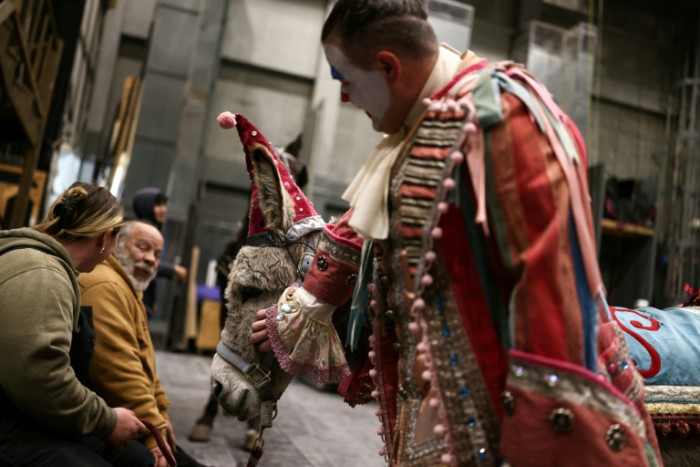 Pets, pedis and peppermints: When the diva is a donkey