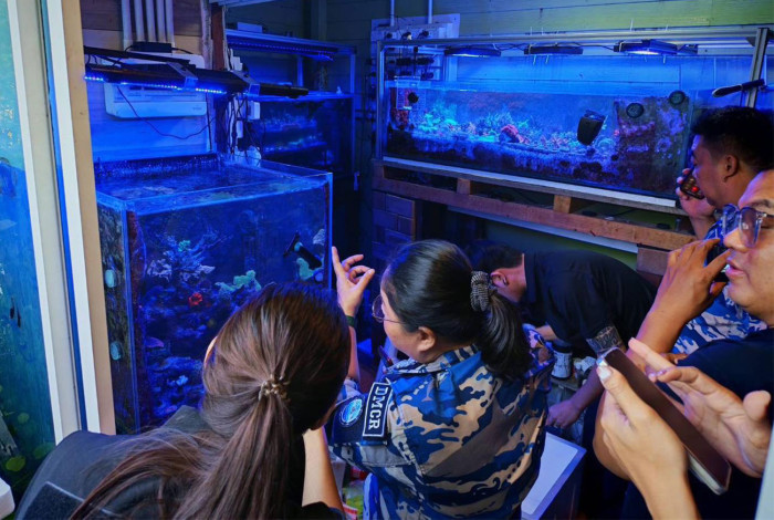 Online trader of coral, sea anemone arrested, over 200 items seized at Bangkok home 