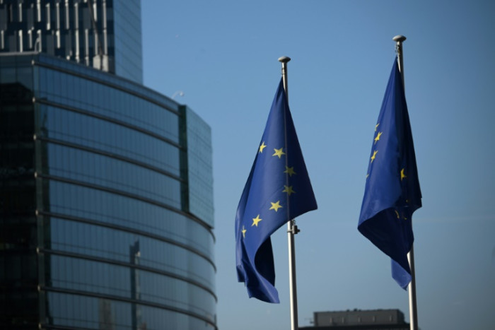EU decries US sanctions against its tech regulators