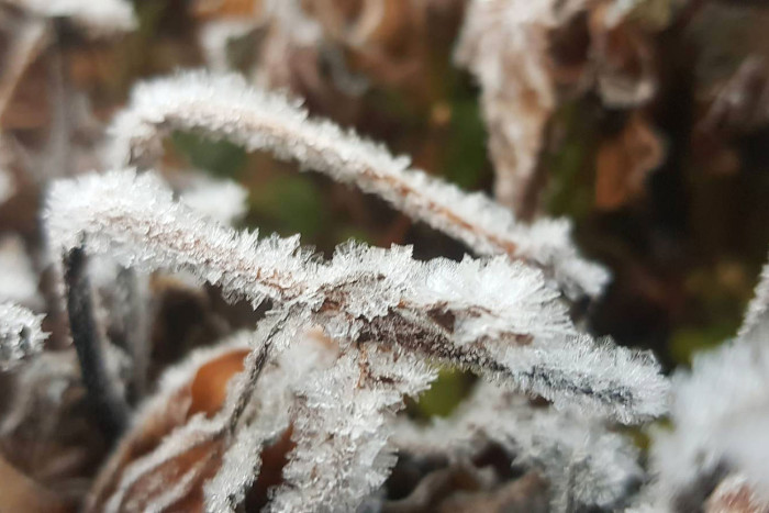 Doi Inthanon records season’s coldest temperature as frost returns