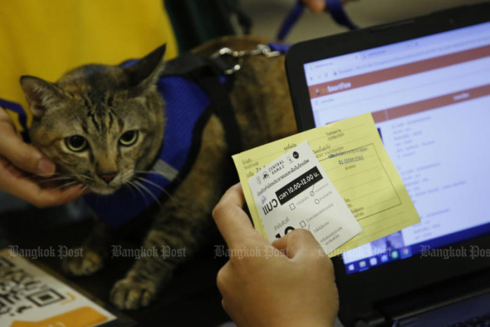 Bangkok delays pet-microchip project for a year