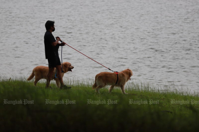 City Hall postpones pet control law until next year