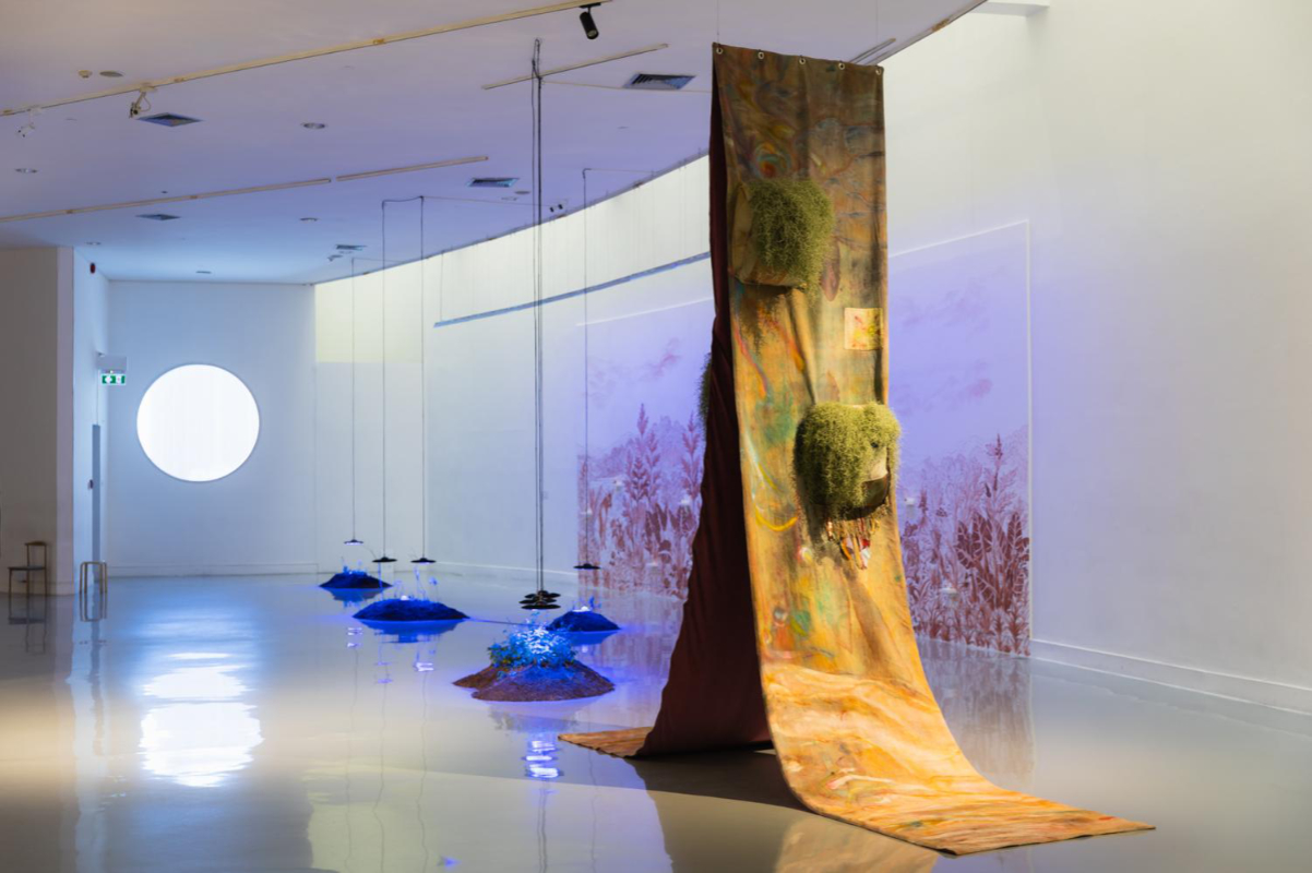 Artists explore co-existence at BACC