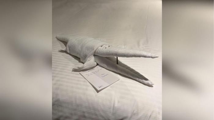 Creative Bangkok hotel housekeeper wins praise