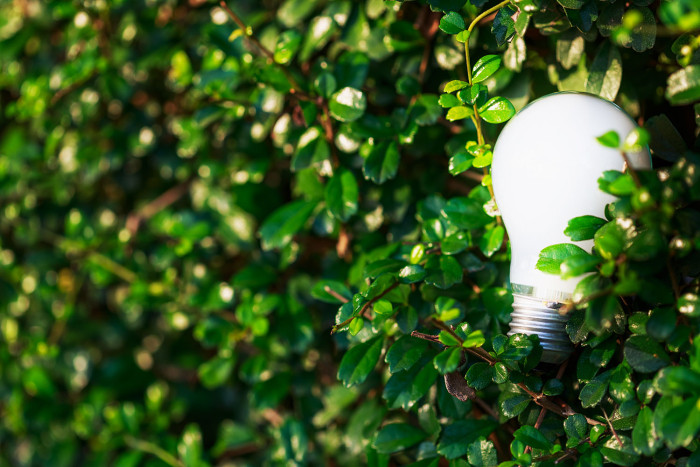 More funding planned for green energy research