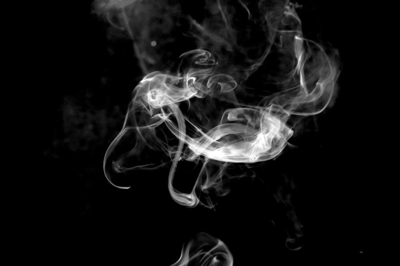 Israeli arrested at pot farm