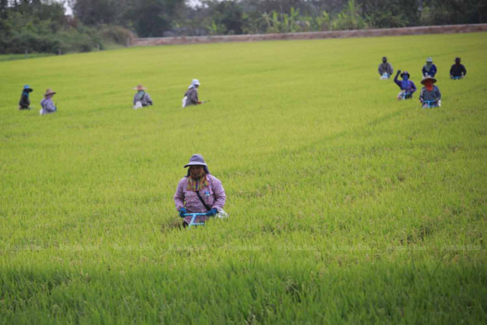 How to feed the world's ten billion people