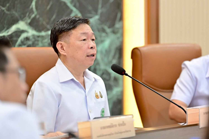 Thailand watches out for Nipah cases