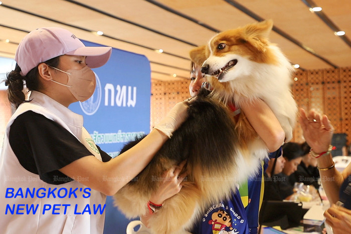 Bangkok's new pet law