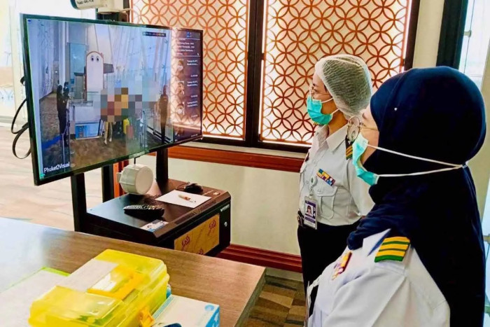 Thai bats carry Nipah virus, but danger comes from infected tourists