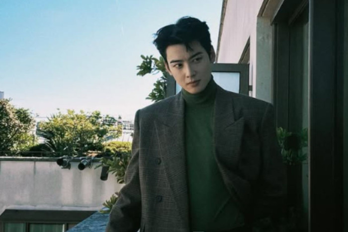 Cha Eun-woo apologises over tax evasion allegations