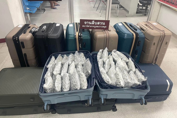 Dried cannabis flowers found during a search of travellers’ bags in March last year are seen at Samui Airport before being sent to the Bo Phut police station on the tourist island in Surat Thani province. (Photo: Handout via Bangkok Post)
