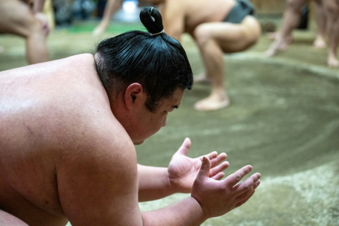 Sumo diplomacy: Japan's heavyweight 'soft power' ambassadors