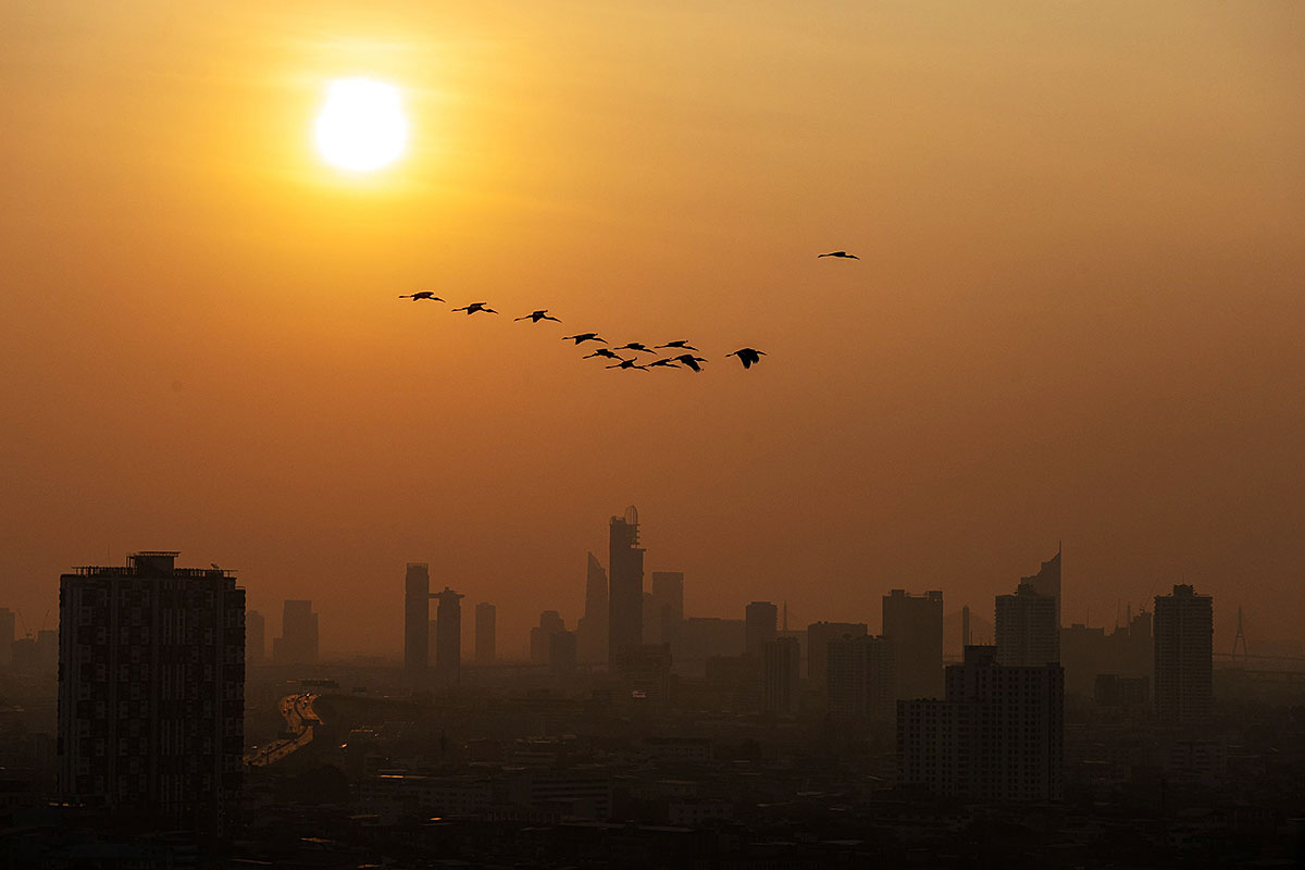 Choosing the right air purifier for Thailand&rsquo;s rising air pollution