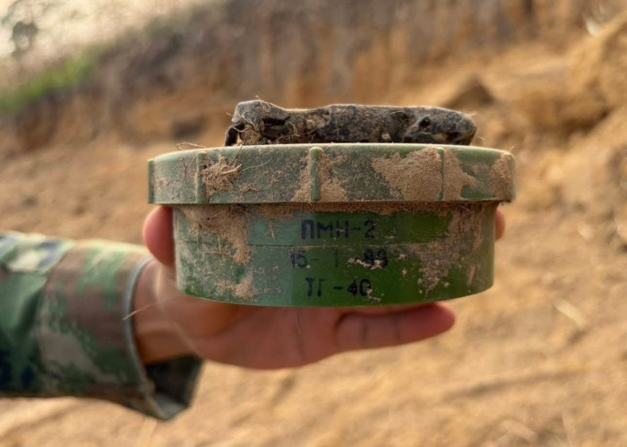 Another Thai soldier maimed by landmine