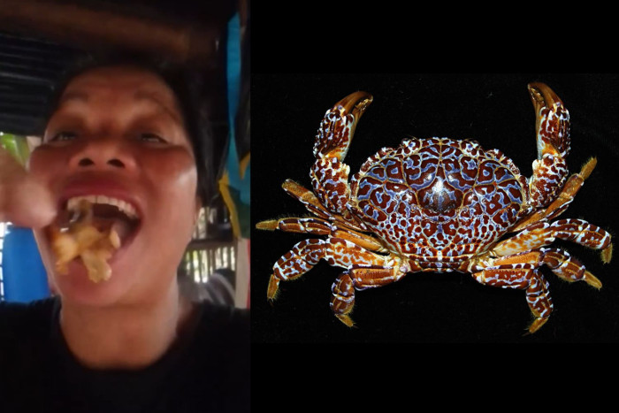 Filipino food influencer dies after eating ‘devil crab’