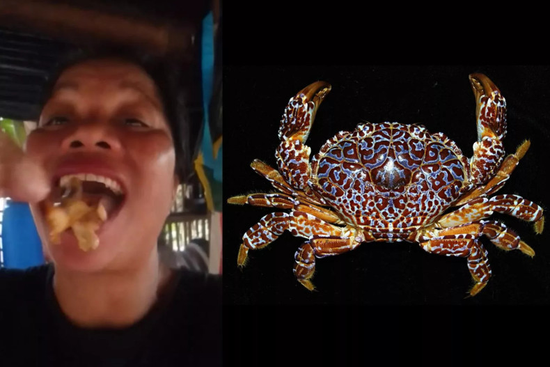 Filipino food influencer dies after eating ‘devil crab’