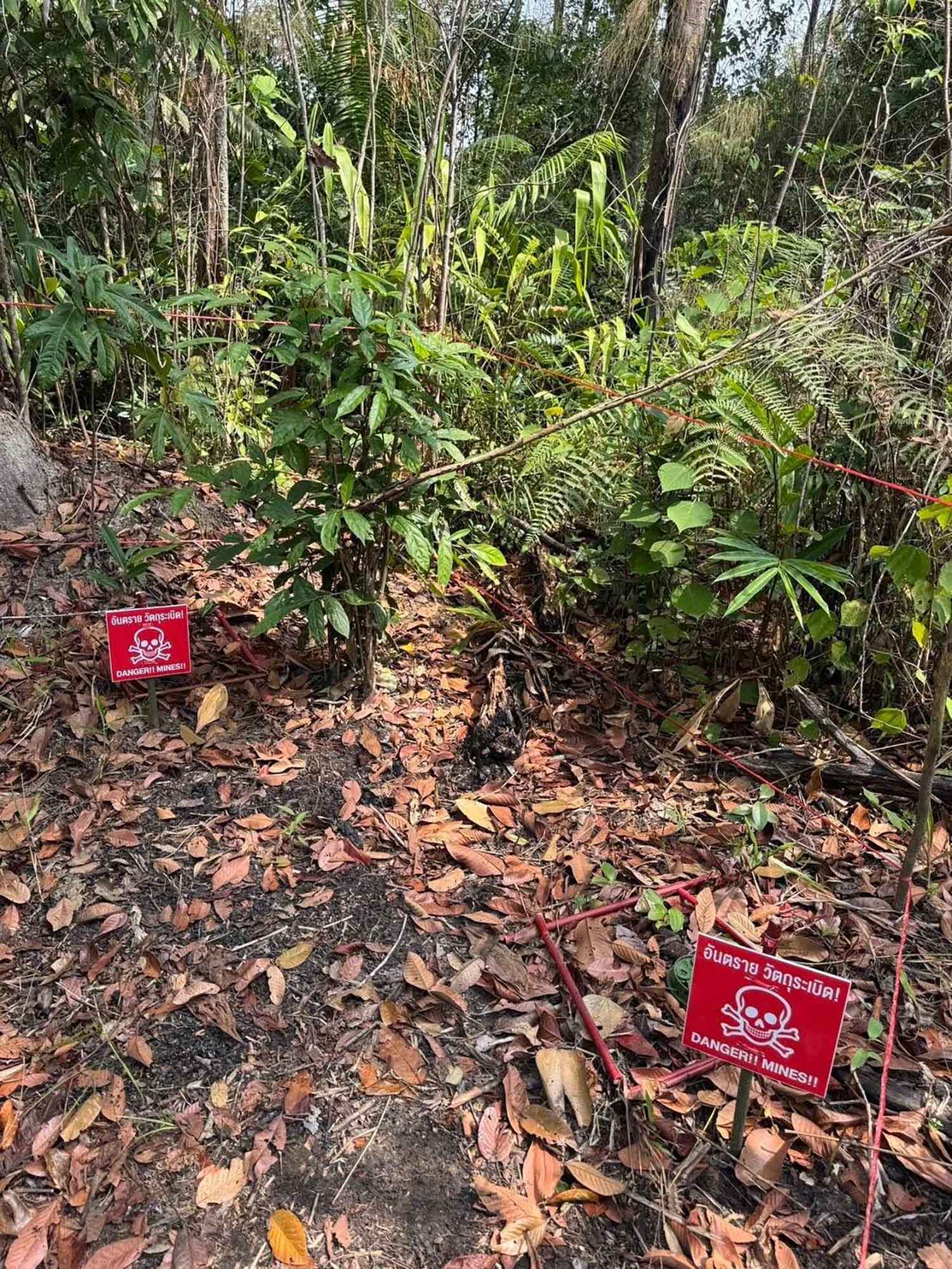 Reports of 6 newly laid mines near Cambodia