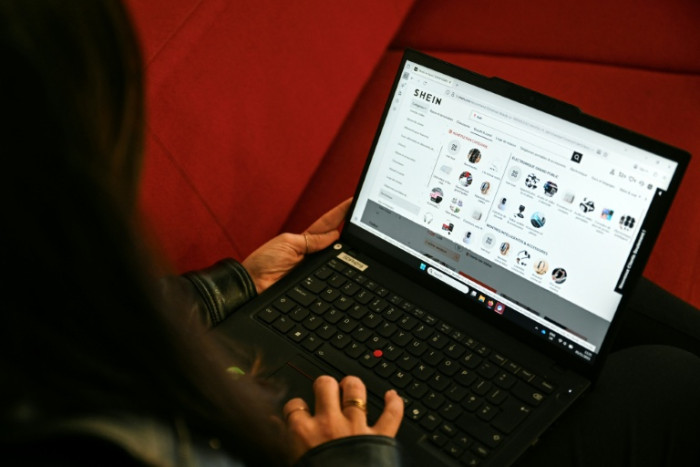 Shein in EU crosshairs over ‘childlike’ sex dolls