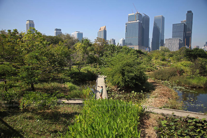 City Hall launches major overhaul of park rules