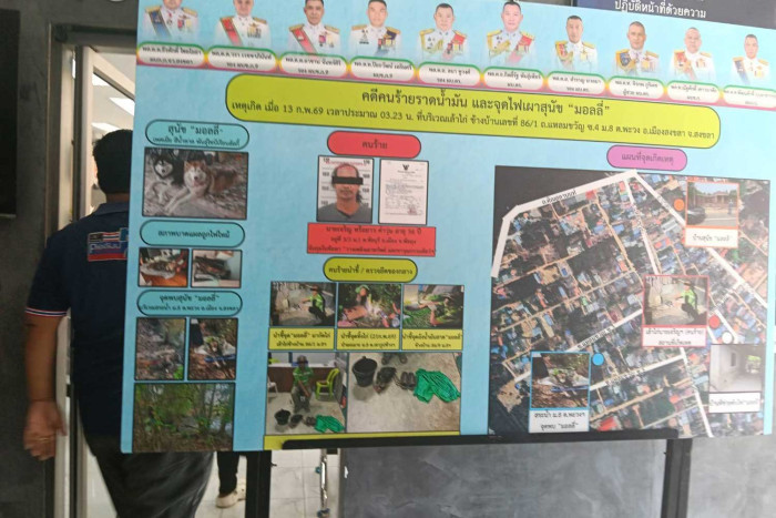 Man charged in cruel death of husky 'Molly'