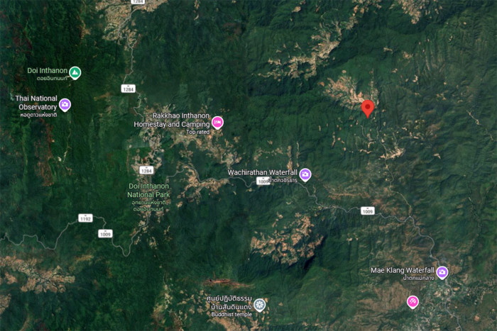 Chiang Mai on alert for stray tiger after livestock mauled