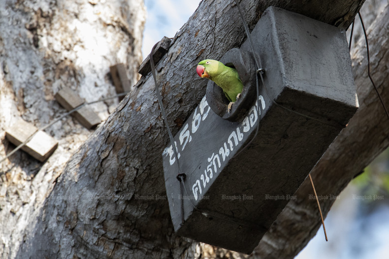 Local action protects critically endangered bird species