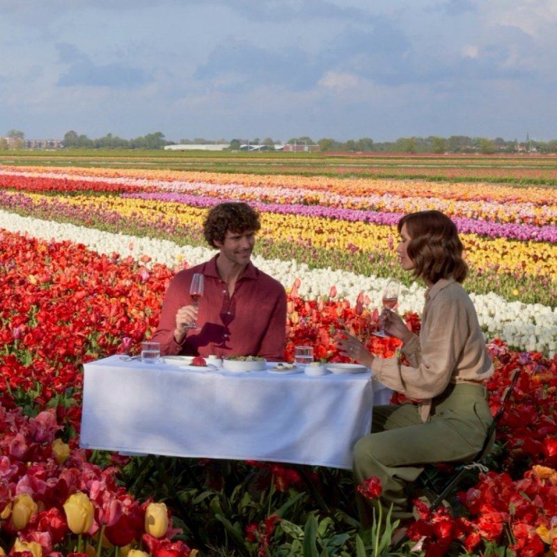 Rain showers bring spring flowers
