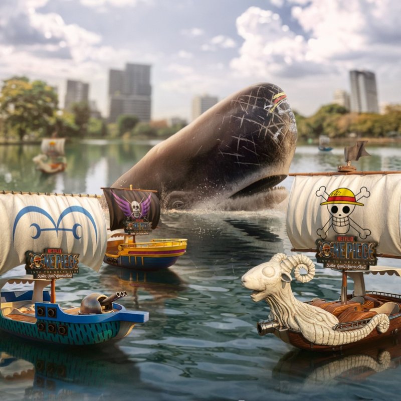 For the Straw Hat Crew