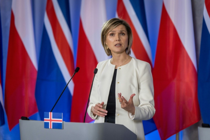 Iceland proposes Aug 29 referendum on EU bid