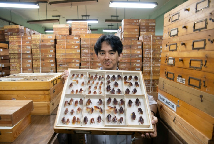 Philippines' 'Cockroach Lord' goes to bat for misunderstood bugs