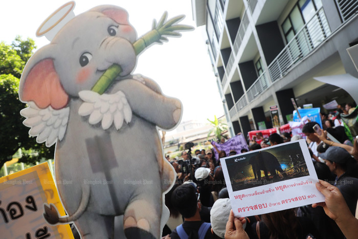 Elephant choked to death on food while being moved, report finds