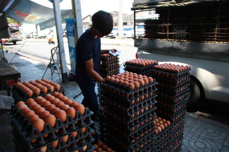 Egg Prices Rise as Farmers' Cooperative Increases Farm-Gate Rates by 20 Satang Per Egg