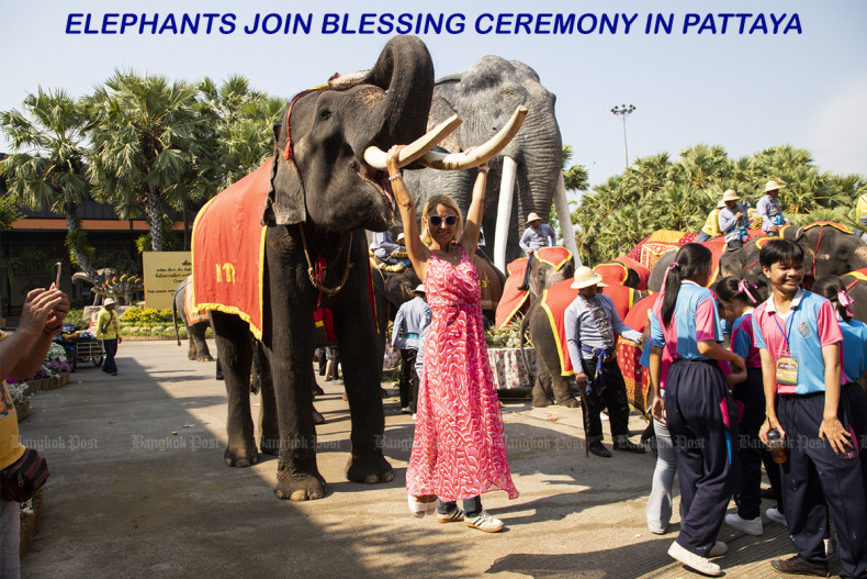 Elephants join in blessing ceremony in Pattaya