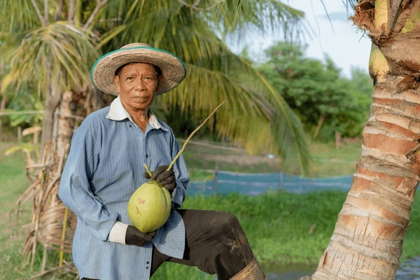 Your next petrol stop comes with a coconut