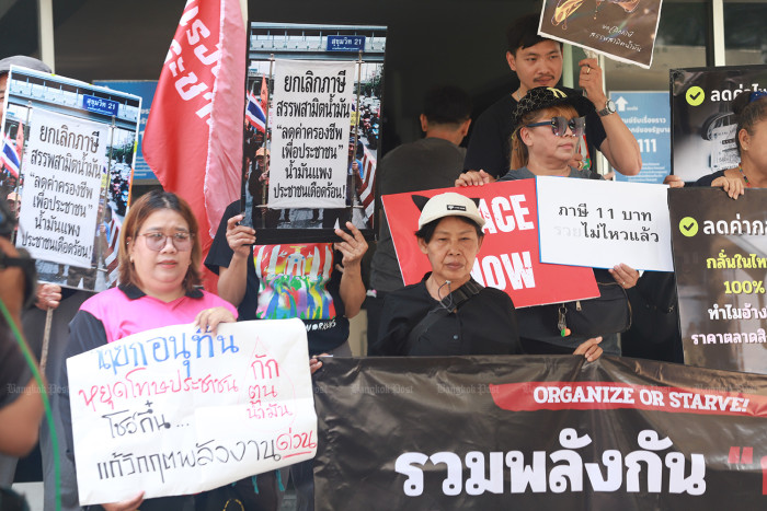 Activists press PM on fuel, power relief