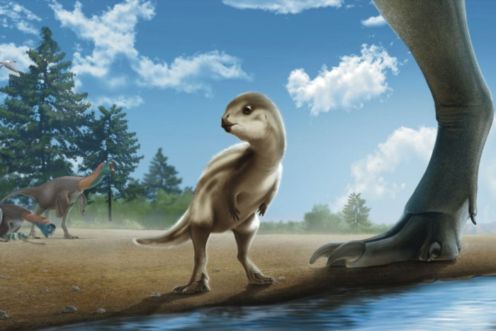 New dinosaur fossil named after South Korean cartoon