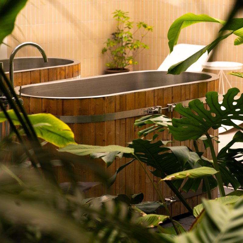 Playfulness meets wellness