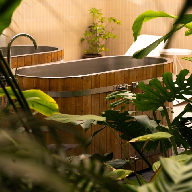 Playfulness meets wellness